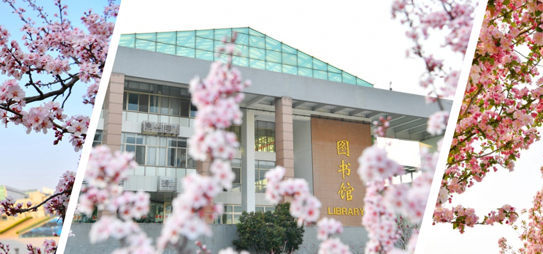 潍坊医学院av大平台
