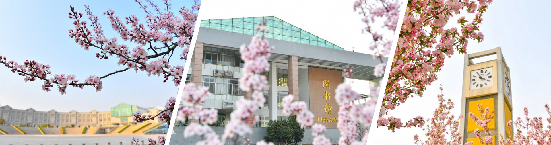 潍坊医学院av大平台
